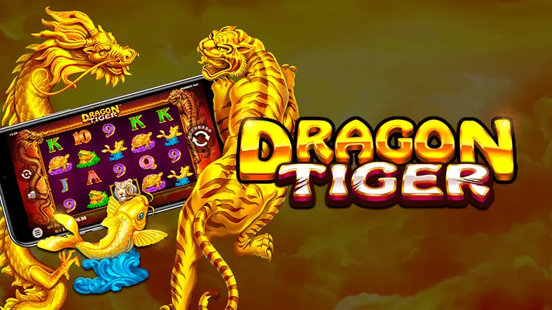 Introduction to Dailyjili Dragon Tiger Game